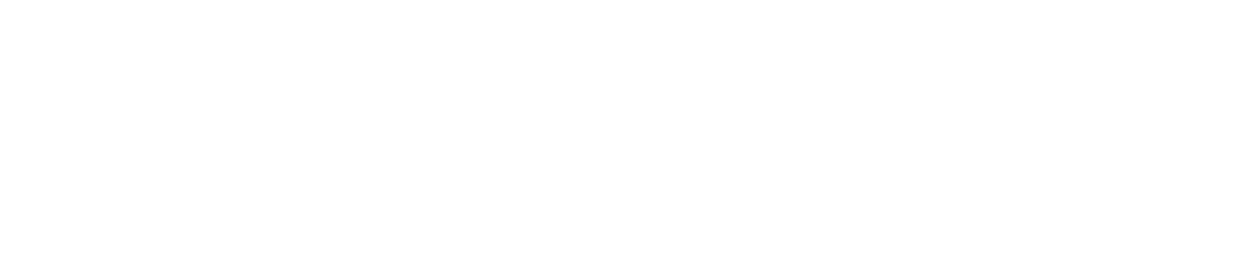 ALPR Solutions White Logo